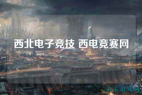 西北电子竞技 西电竞赛网
