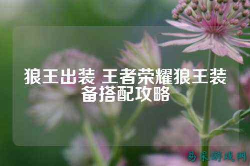 狼王出装 王者荣耀狼王装备搭配攻略