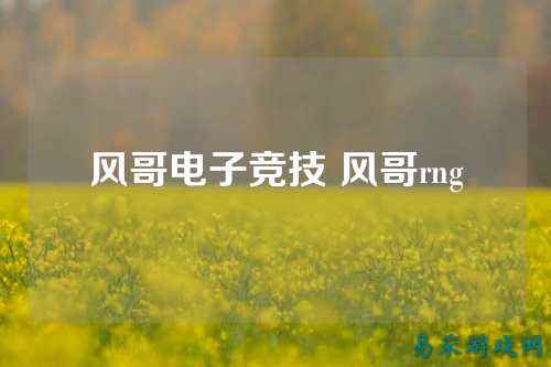 风哥电子竞技 风哥rng