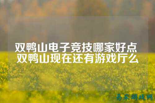 双鸭山电子竞技哪家好点 双鸭山现在还有游戏厅么