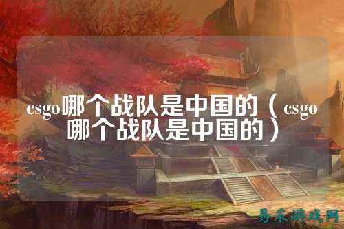 csgo哪个战队是中国的(csgo哪个战队是中国的)