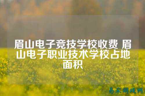 眉山电子竞技学校收费 眉山电子职业技术学校占地面积