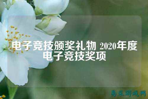 电子竞技颁奖礼物 2020年度电子竞技奖项