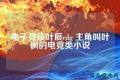 电子竞技叶辰edg 主角叫叶枫的电竞类小说