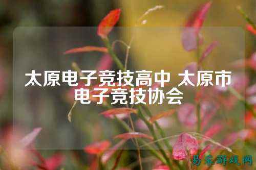 太原电子竞技高中 太原市电子竞技协会