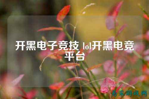 开黑电子竞技 lol开黑电竞平台