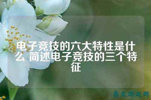 电子竞技的六大特性是什么 简述电子竞技的三个特征