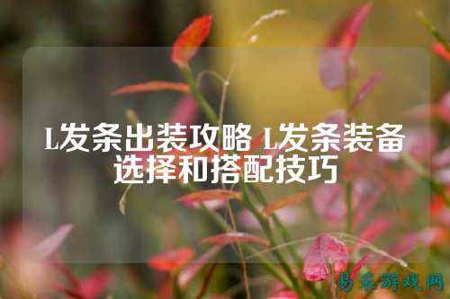 L发条出装攻略 L发条装备选择和搭配技巧