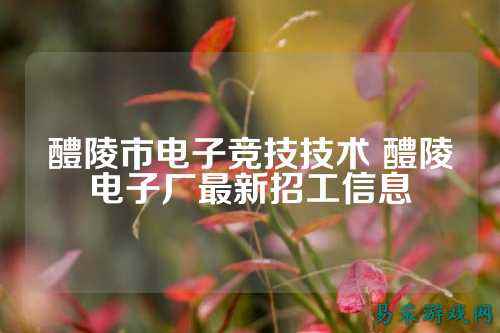 醴陵市电子竞技技术 醴陵电子厂最新招工信息