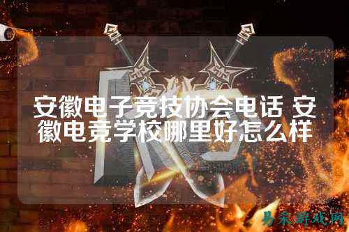 安徽电子竞技协会电话 安徽电竞学校哪里好怎么样