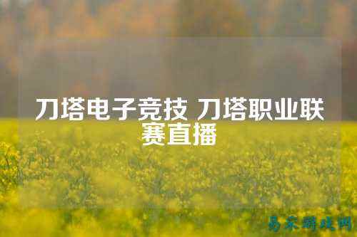 刀塔电子竞技 刀塔职业联赛直播
