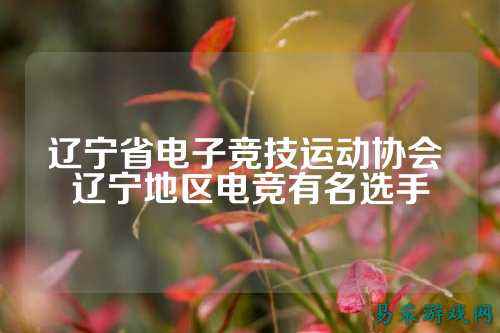 辽宁省电子竞技运动协会 辽宁地区电竞有名选手