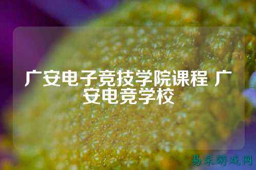 广安电子竞技学院课程 广安电竞学校