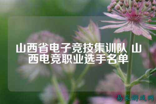 山西省电子竞技集训队 山西电竞职业选手名单