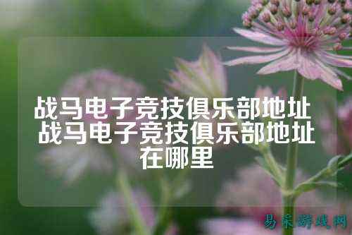 战马电子竞技俱乐部地址 战马电子竞技俱乐部地址在哪里