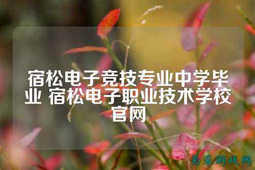 宿松电子竞技专业中学毕业 宿松电子职业技术学校官网