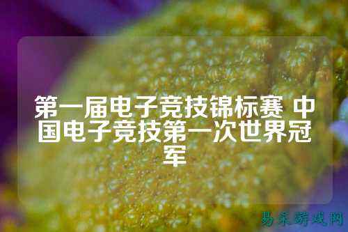 第一届电子竞技锦标赛 中国电子竞技第一次世界冠军