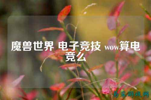 魔兽世界 电子竞技 wow算电竞么