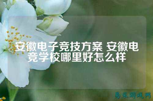 安徽电子竞技方案 安徽电竞学校哪里好怎么样