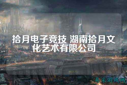 拾月电子竞技 湖南拾月文化艺术有限公司