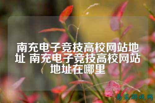 南充电子竞技高校网站地址 南充电子竞技高校网站地址在哪里
