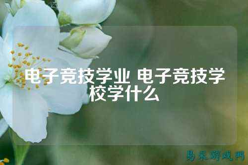 电子竞技学业 电子竞技学校学什么