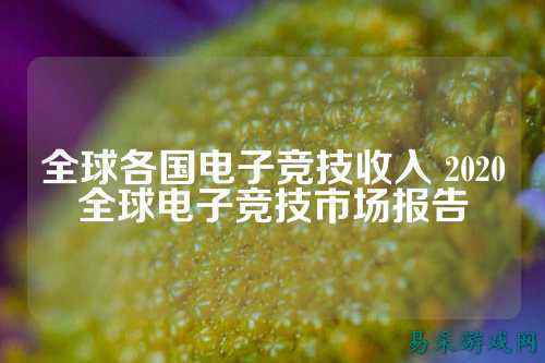 全球各国电子竞技收入 2020全球电子竞技市场报告