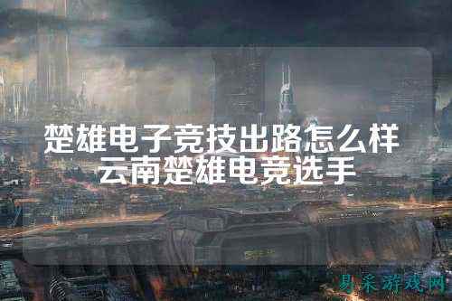 楚雄电子竞技出路怎么样 云南楚雄电竞选手