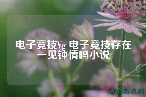 电子竞技Vg 电子竞技存在一见钟情吗小说