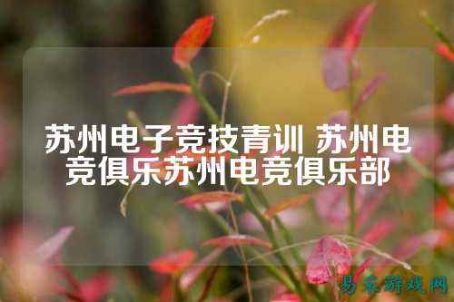 苏州电子竞技青训 苏州电竞俱乐苏州电竞俱乐部