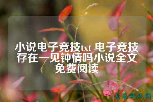 小说电子竞技txt 电子竞技存在一见钟情吗小说全文免费阅读