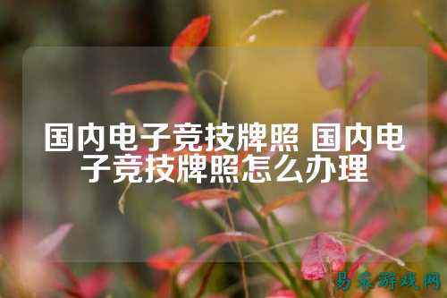 国内电子竞技牌照 国内电子竞技牌照怎么办理