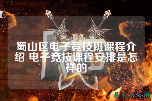 蜀山区电子竞技班课程介绍 电子竞技课程安排是怎样的