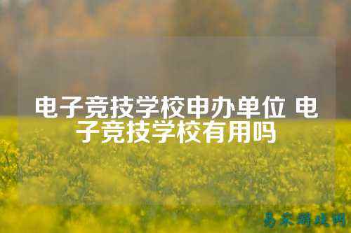 电子竞技学校申办单位 电子竞技学校有用吗