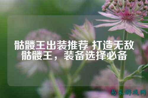 骷髅王出装推荐 打造无敌骷髅王，装备选择必备