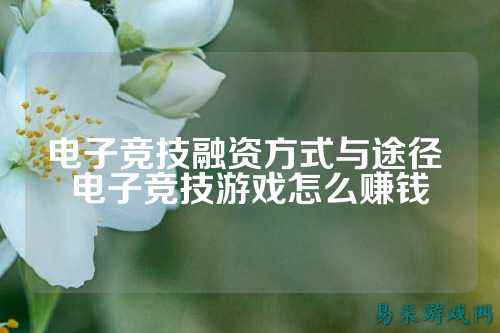电子竞技融资方式与途径 电子竞技游戏怎么赚钱