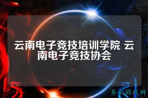 云南电子竞技培训学院 云南电子竞技协会