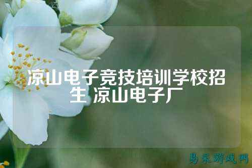 凉山电子竞技培训学校招生 凉山电子厂