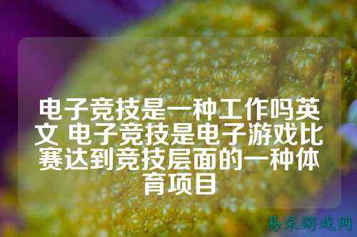 电子竞技是一种工作吗英文 电子竞技是电子游戏比赛达到竞技层面的一种体育项目