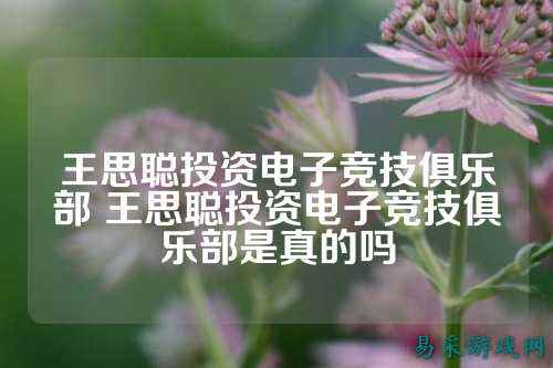 王思聪投资电子竞技俱乐部 王思聪投资电子竞技俱乐部是真的吗