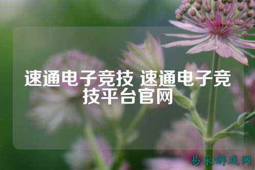 速通电子竞技 速通电子竞技平台官网