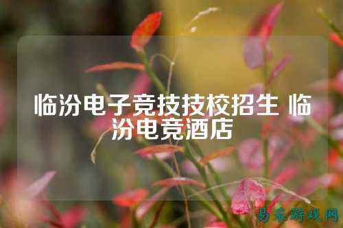 临汾电子竞技技校招生 临汾电竞酒店