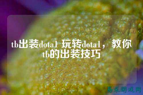 tb出装dota1 玩转dota1，教你tb的出装技巧