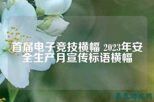 首届电子竞技横幅 2023年安全生产月宣传标语横幅
