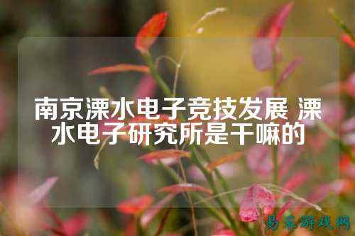 南京溧水电子竞技发展 溧水电子研究所是干嘛的
