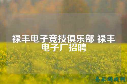 禄丰电子竞技俱乐部 禄丰电子厂招聘