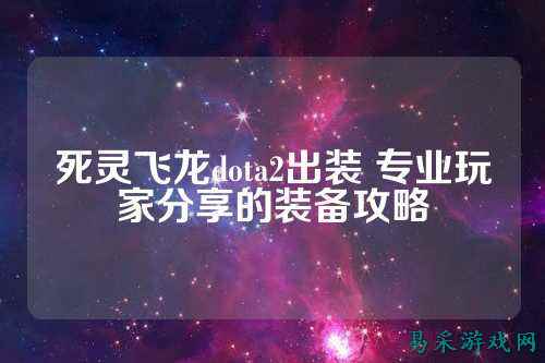 死灵飞龙dota2出装 专业玩家分享的装备攻略