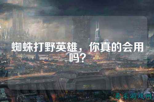 蜘蛛打野英雄，你真的会用吗？