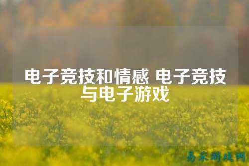 电子竞技和情感 电子竞技与电子游戏