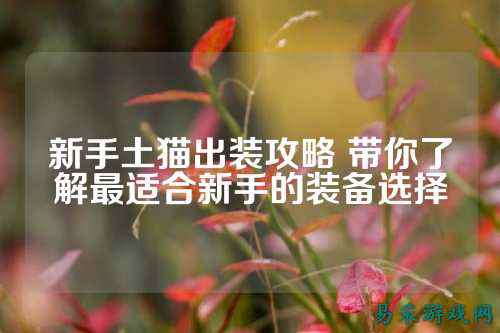 新手土猫出装攻略 带你了解最适合新手的装备选择